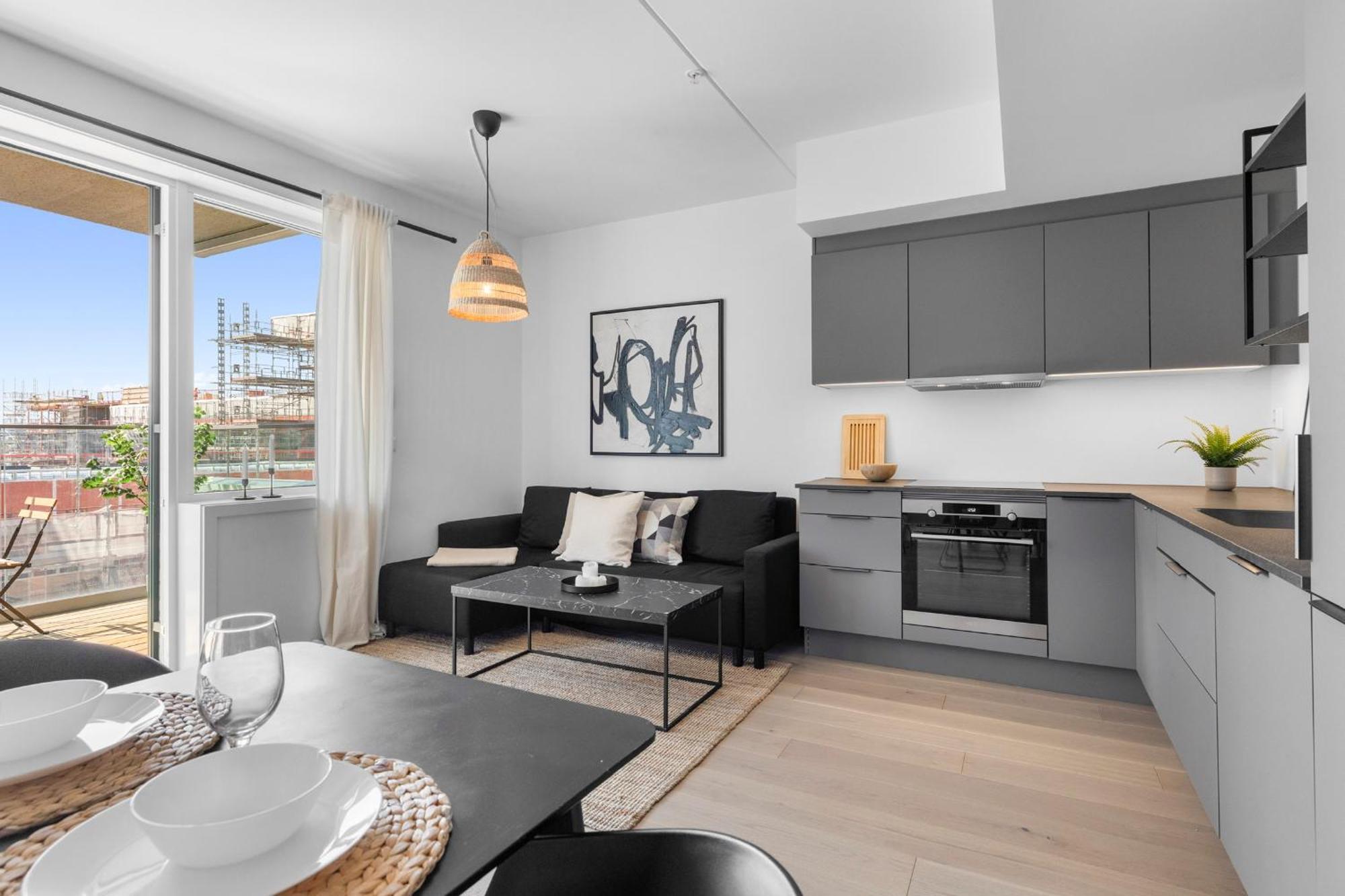 Apartment High Standard In Center Oslo