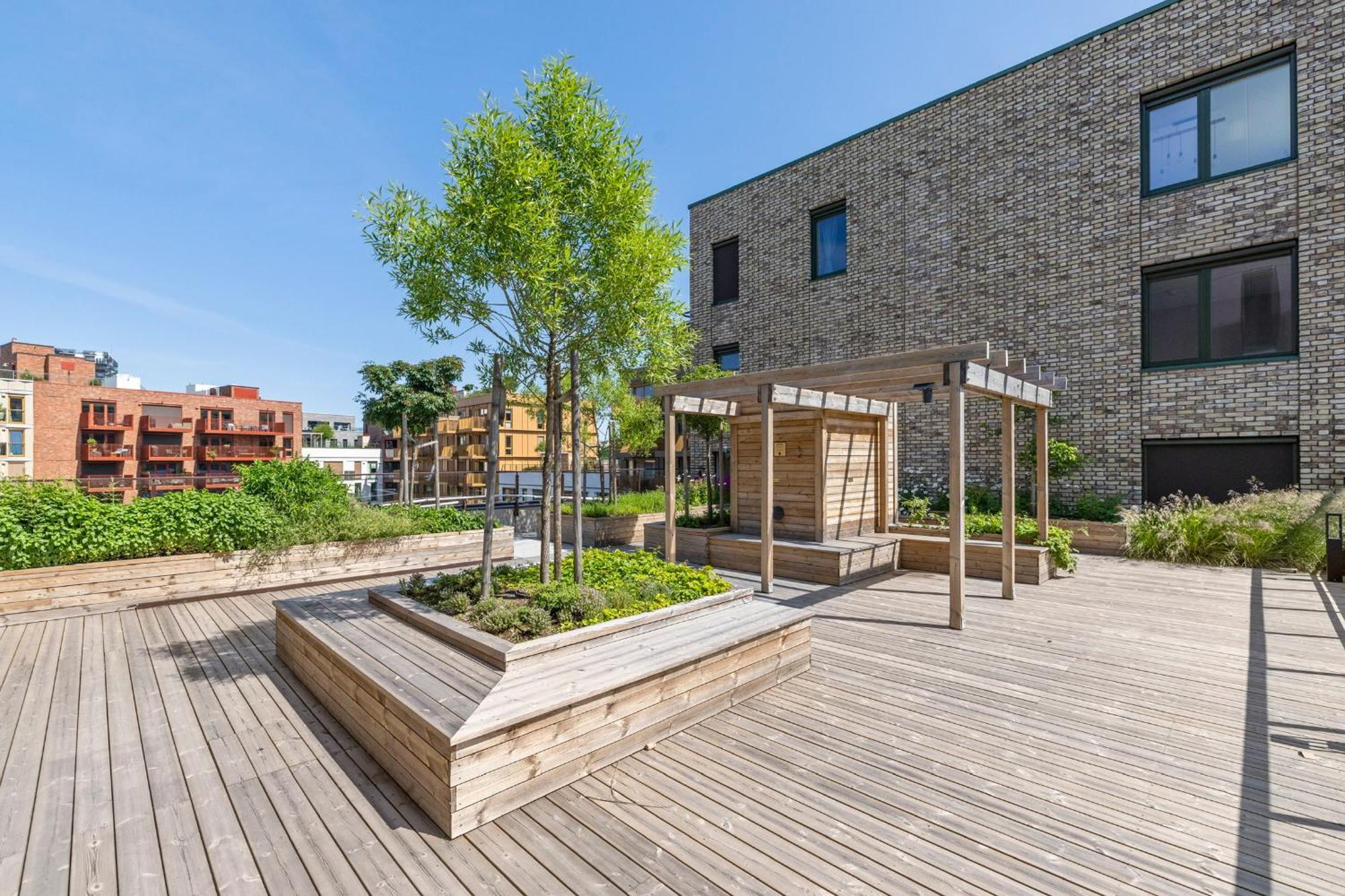 Apartment High Standard In Center