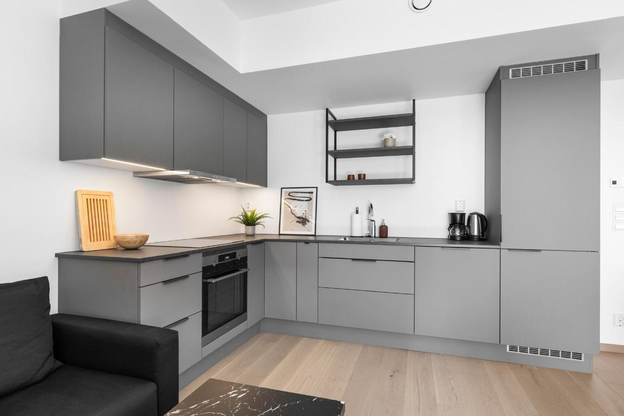 High Standard In Center Apartment Oslo