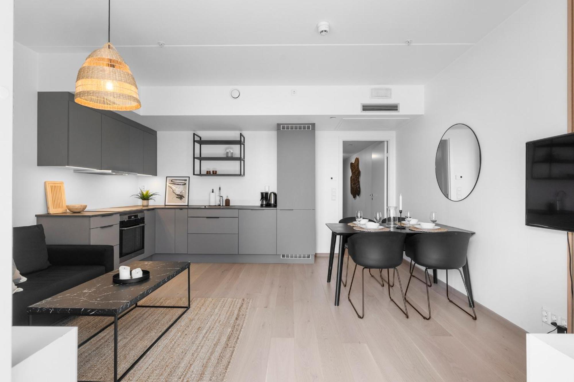 Apartment High Standard In Center Oslo